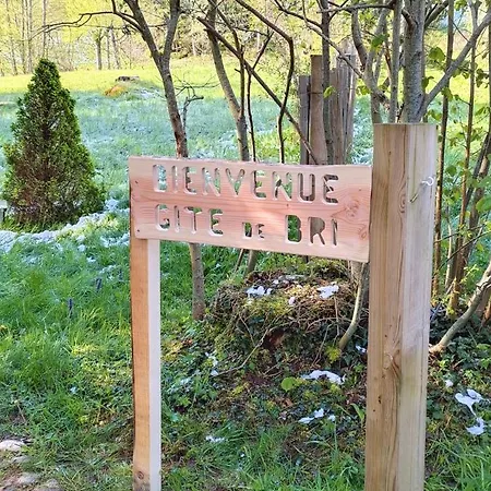 Le Gite De Bri Orbey Extérieur photo