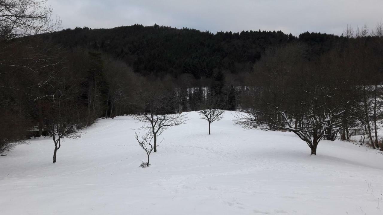 Le De Bri